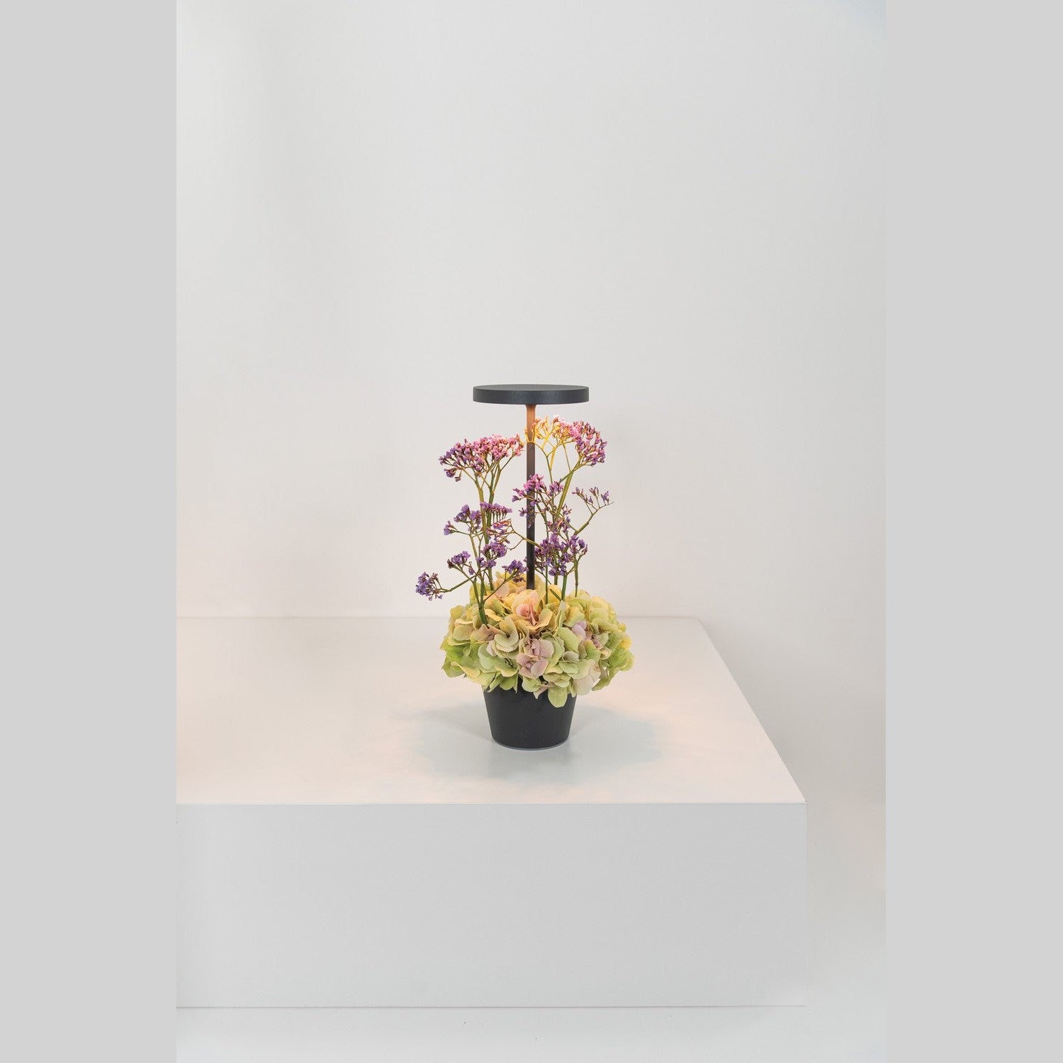 Zafferano - LD0420N4 - LED Table Lamp - Poldina - Dark Grey