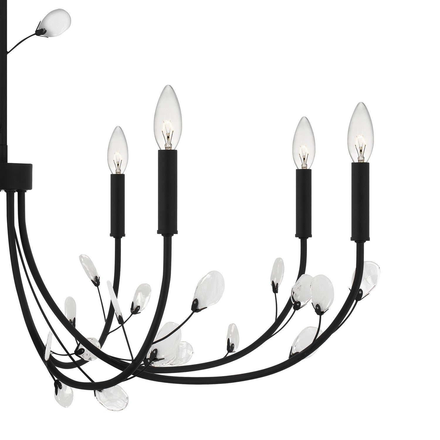 Quoizel - HEI5040MBK - Eight Light Chandelier - Heiress - Matte Black