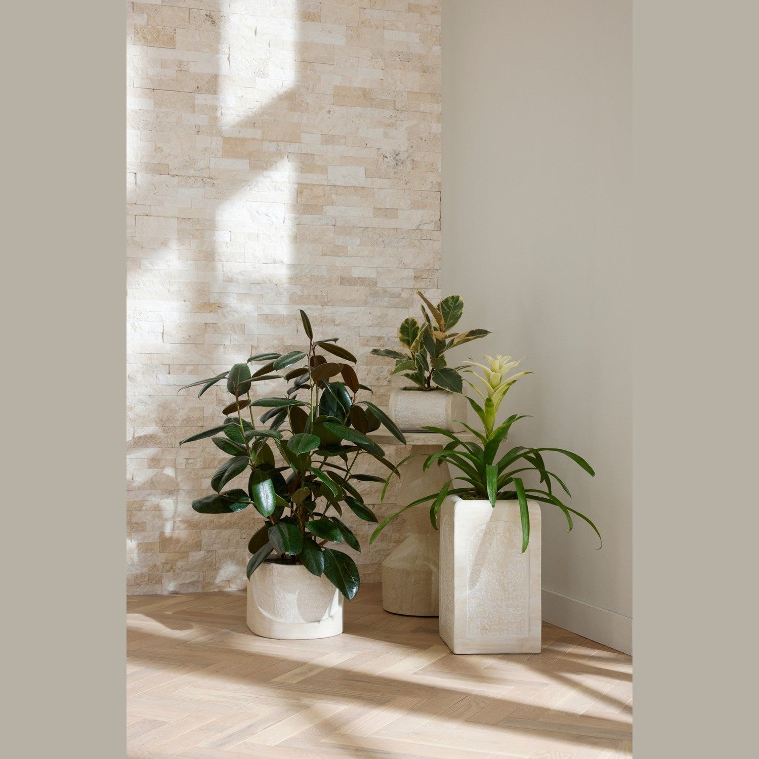 Arteriors - AVS07 - Planters, Set of 3 - Callies - Ivory/Ivory/Clear