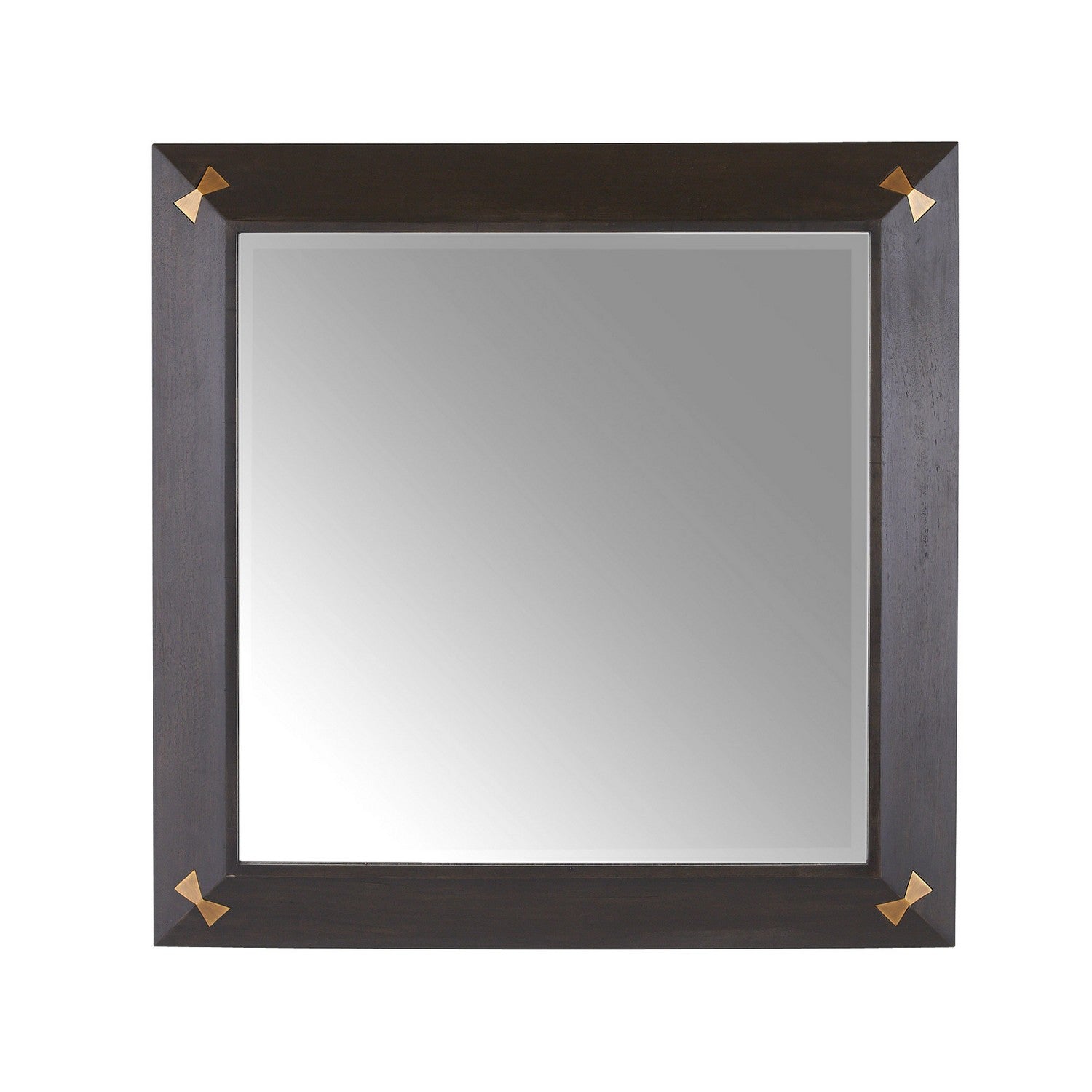 Arteriors - WMI42 - Mirror - Calpini - Sable/Antique Brass/Plain