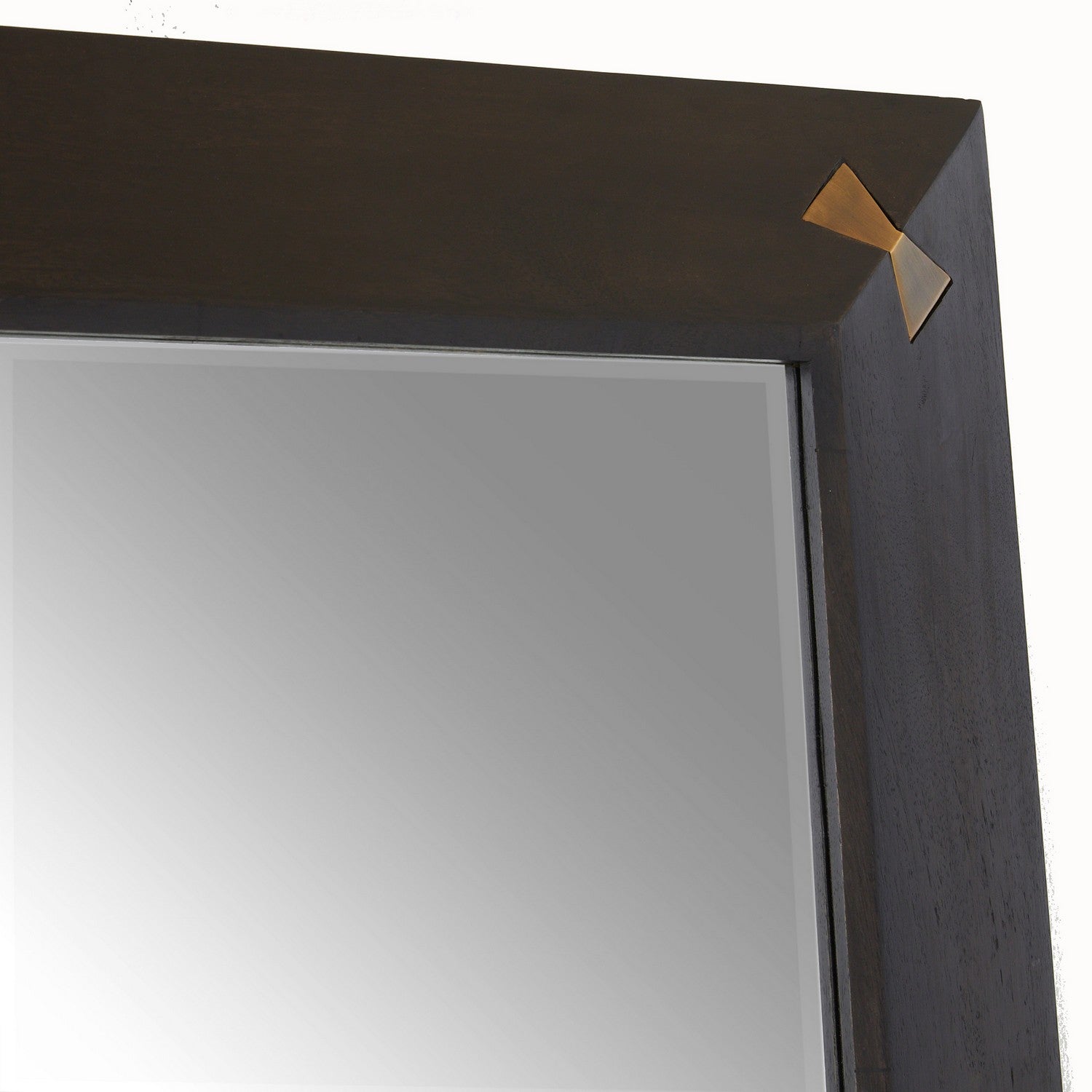 Arteriors - WMI42 - Mirror - Calpini - Sable/Antique Brass/Plain