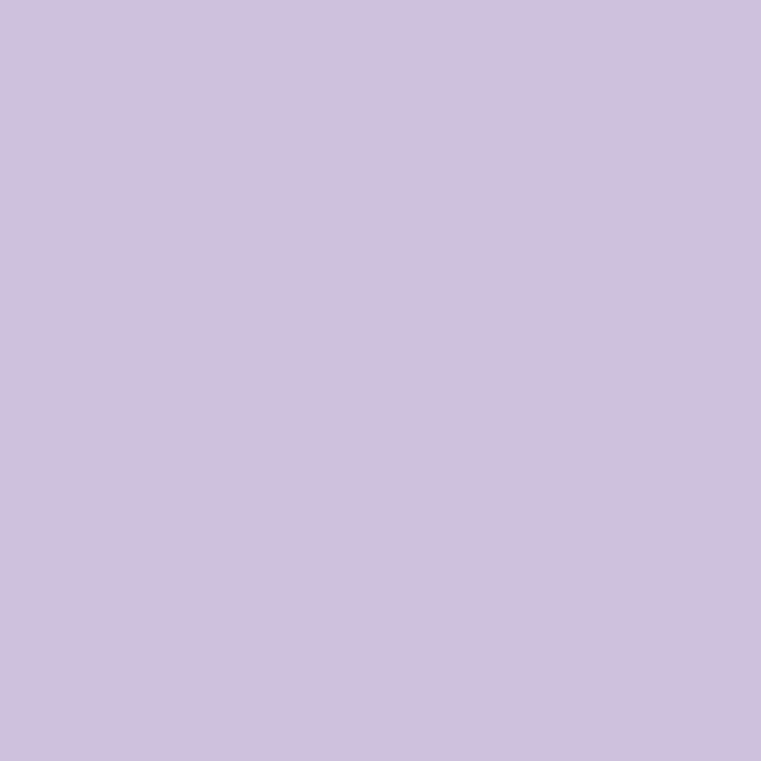 Matthews Fan Company - AKTP-MWH-LI - 48" Ceiling Fan - Alessandra Tropical - Matte White