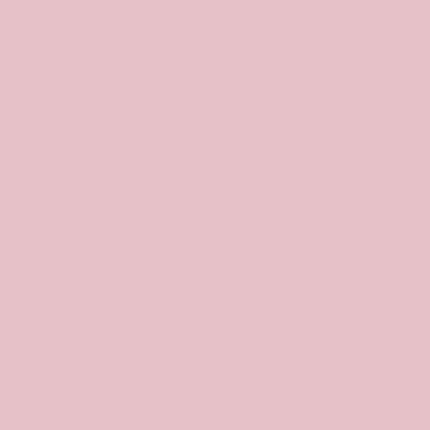 Matthews Fan Company - AKTP-MWH-PI - 48" Ceiling Fan - Alessandra Tropical - Matte White