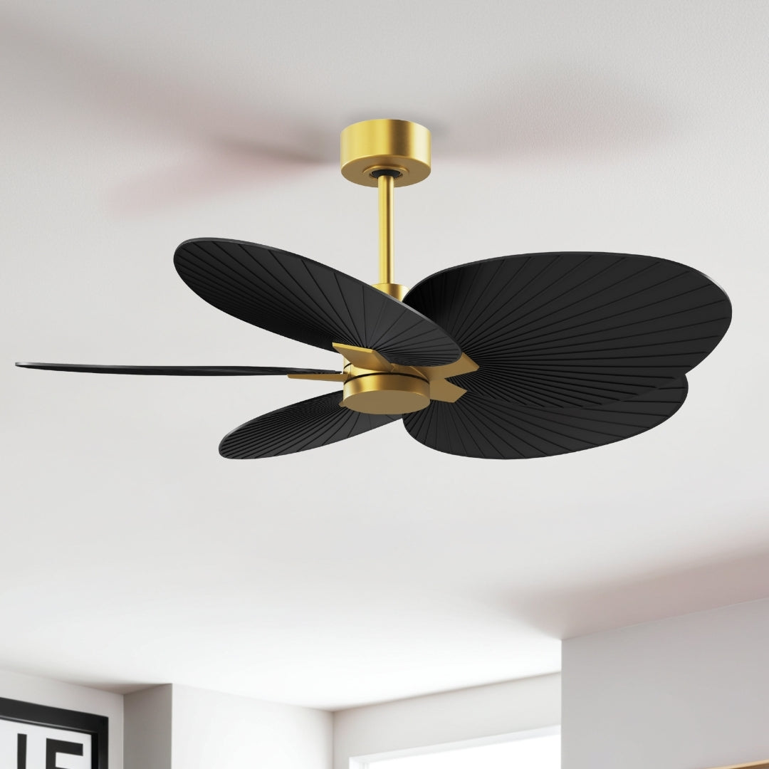Matthews Fan Company - AKTP-BRBR-BK - 48" Ceiling Fan - Alessandra Tropical - Brushed Brass