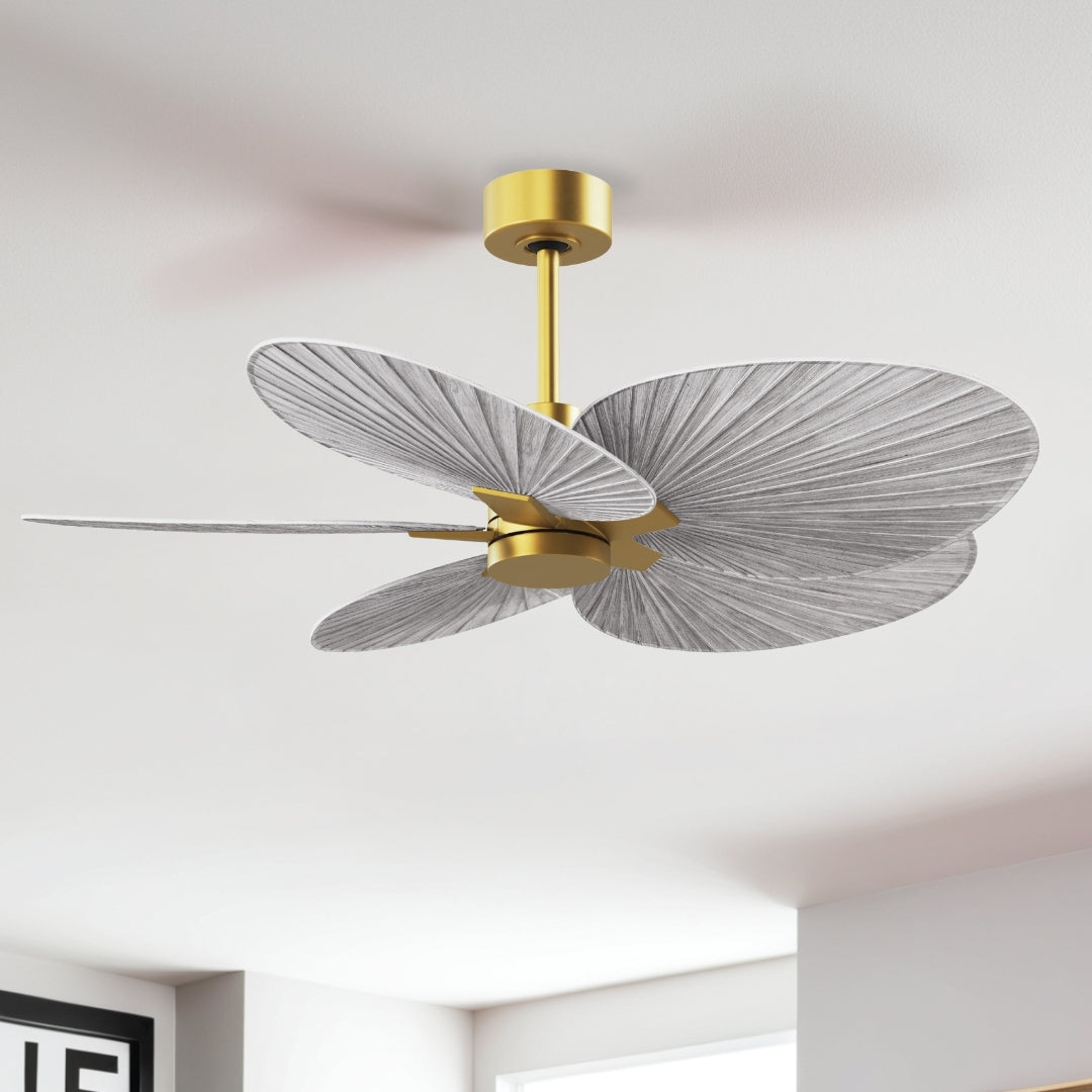 Matthews Fan Company - AKTP-BRBR-BW - 48" Ceiling Fan - Alessandra Tropical - Brushed Brass