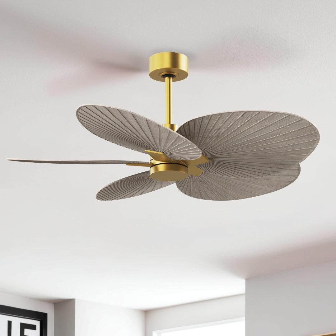 Matthews Fan Company - AKTP-BRBR-GA - 48" Ceiling Fan - Alessandra Tropical - Brushed Brass