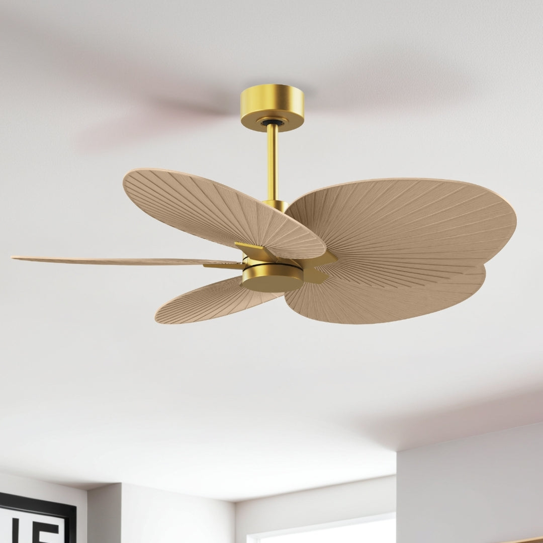 Matthews Fan Company - AKTP-BRBR-LM - 48" Ceiling Fan - Alessandra Tropical - Brushed Brass