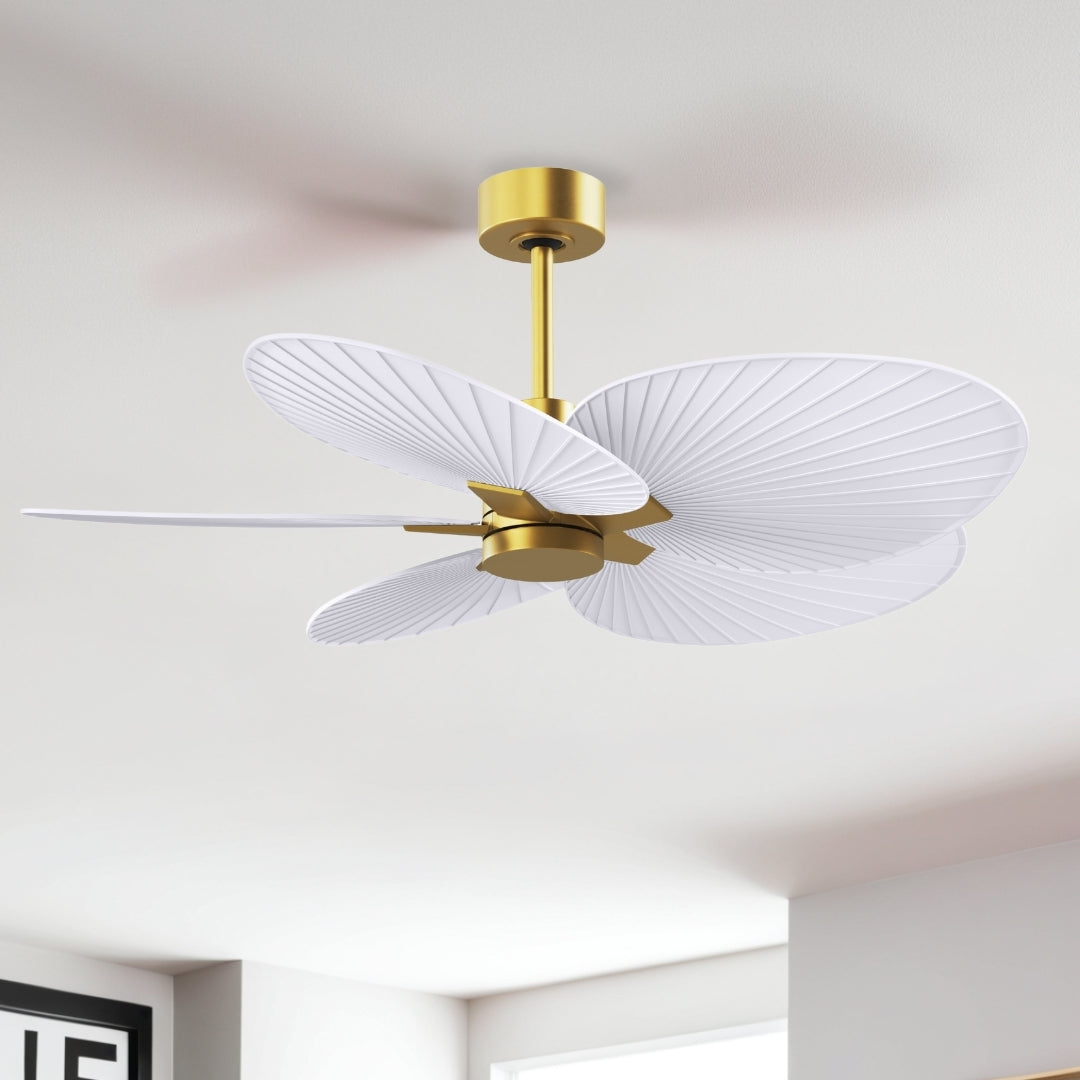 Matthews Fan Company - AKTP-BRBR-MWH - 48" Ceiling Fan - Alessandra Tropical - Brushed Brass