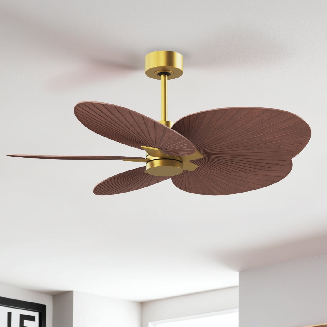 Matthews Fan Company - AKTP-BRBR-WN - 48" Ceiling Fan - Alessandra Tropical - Brushed Brass