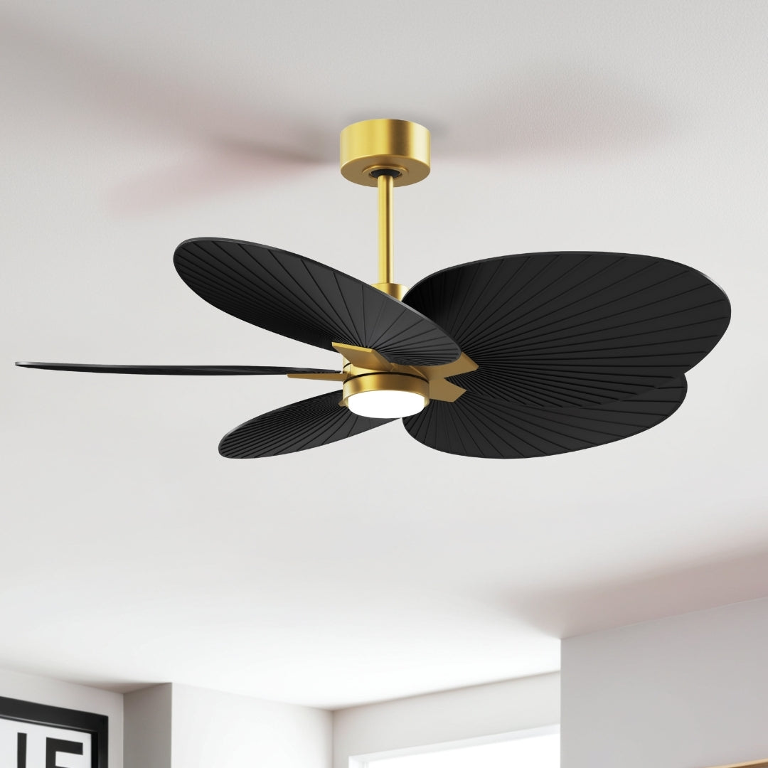 Matthews Fan Company - AKTPLK-BRBR-BK - 48" Ceiling Fan - Alessandra Tropical - LK - Brushed Brass