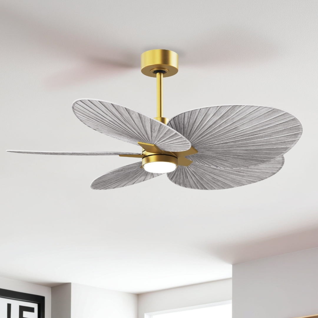 Matthews Fan Company - AKTPLK-BRBR-BW - 48" Ceiling Fan - Alessandra Tropical - LK - Brushed Brass