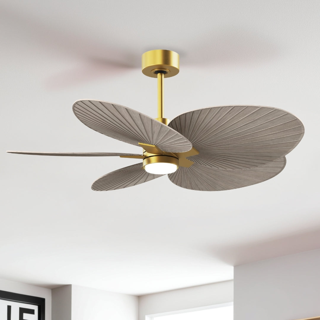 Matthews Fan Company - AKTPLK-BRBR-GA - 48" Ceiling Fan - Alessandra Tropical - LK - Brushed Brass