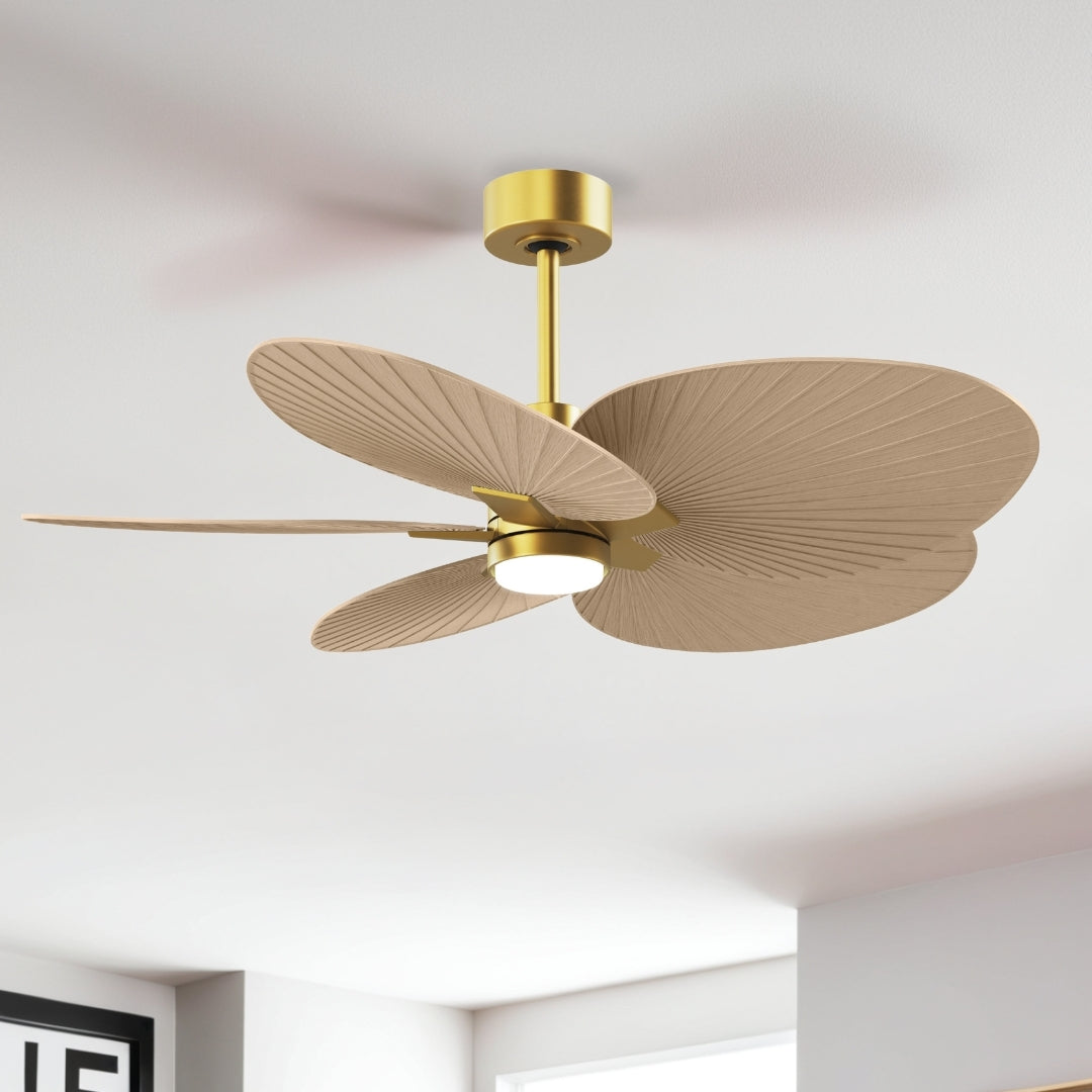 Matthews Fan Company - AKTPLK-BRBR-LM - 48" Ceiling Fan - Alessandra Tropical - LK - Brushed Brass