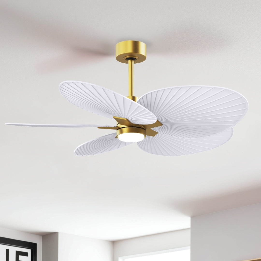 Matthews Fan Company - AKTPLK-BRBR-MWH - 48" Ceiling Fan - Alessandra Tropical - LK - Brushed Brass