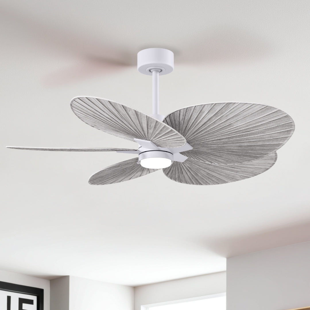 Matthews Fan Company - AKTPLK-MWH-BW - 48" Ceiling Fan - Alessandra Tropical - LK - Matte White