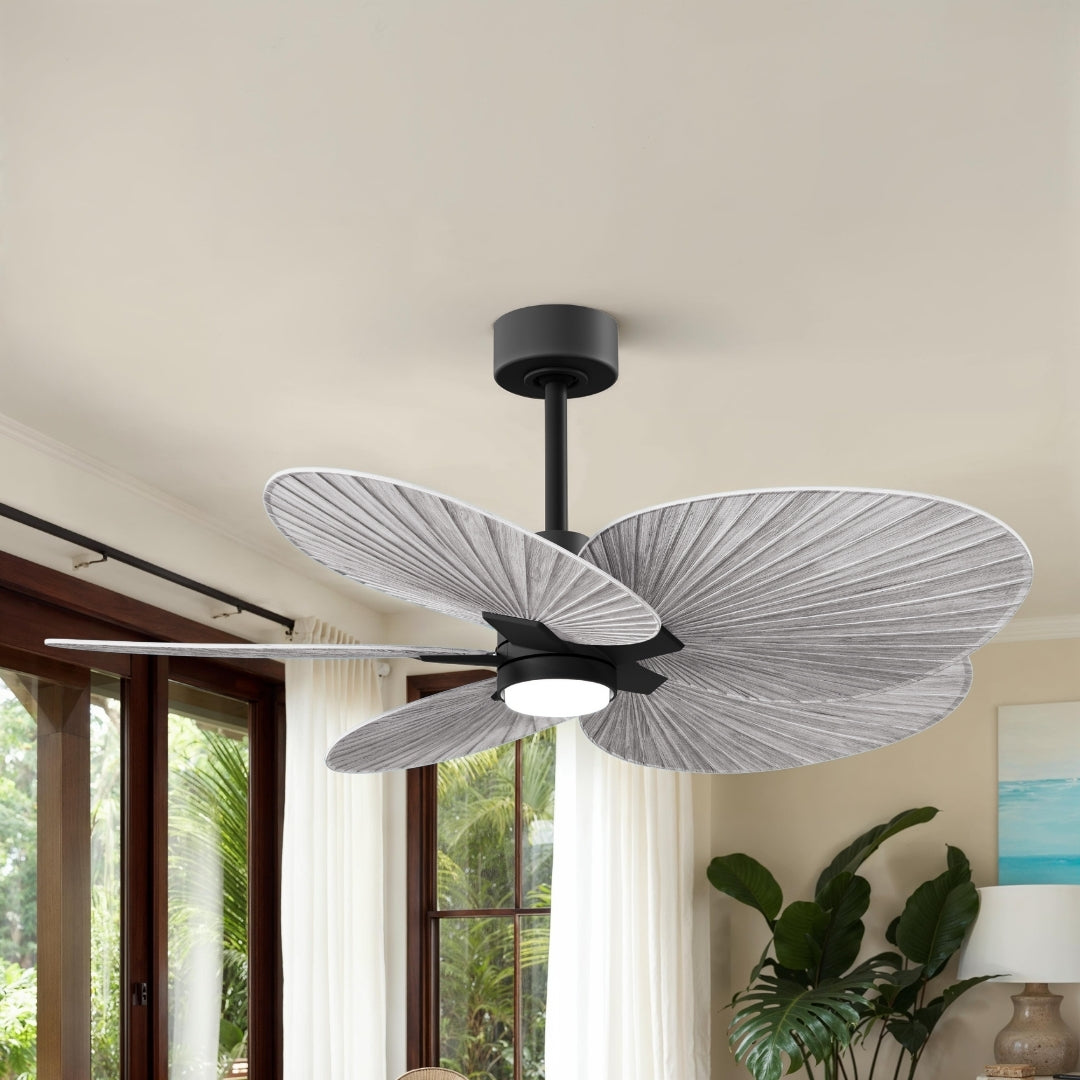 Matthews Fan Company - AKTPLK-BK-BW - 48" Ceiling Fan - Alessandra Tropical - LK - Matte Black