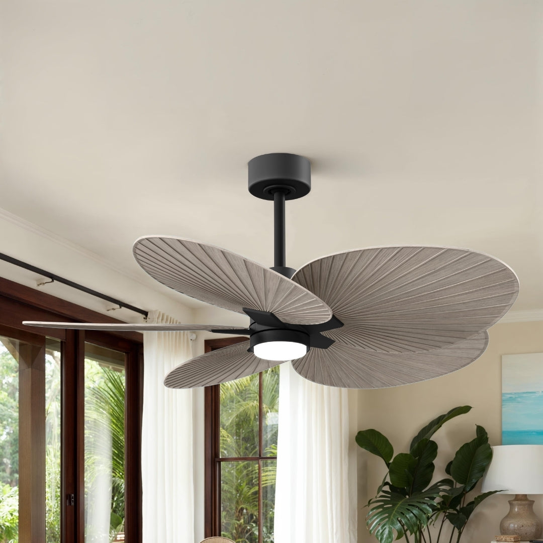 Matthews Fan Company - AKTPLK-BK-GA - 48" Ceiling Fan - Alessandra Tropical - LK - Matte Black