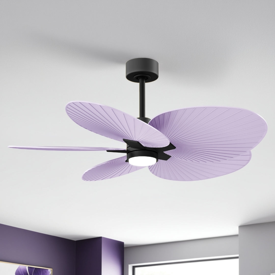 Matthews Fan Company - AKTPLK-BK-LI - 48" Ceiling Fan - Alessandra Tropical - LK - Matte Black