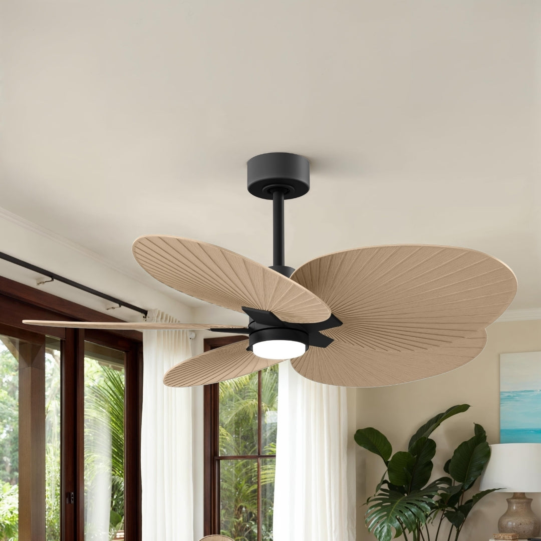Matthews Fan Company - AKTPLK-BK-LM - 48" Ceiling Fan - Alessandra Tropical - LK - Matte Black
