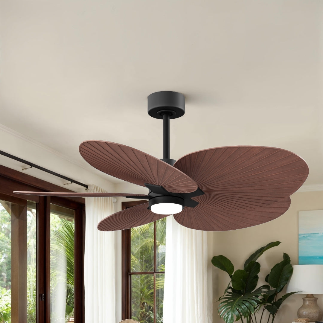 Matthews Fan Company - AKTPLK-BK-WN - 48" Ceiling Fan - Alessandra Tropical - LK - Matte Black