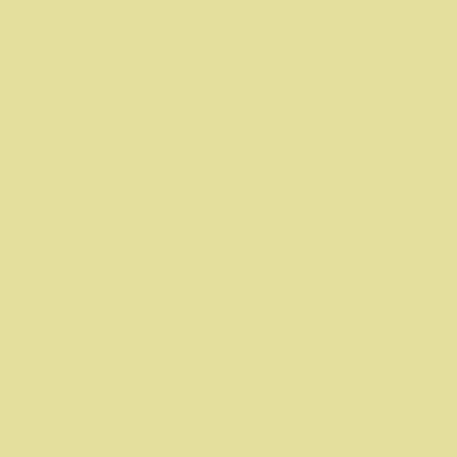 Matthews Fan Company - AKTPLK-BK-YE - 48" Ceiling Fan - Alessandra Tropical - LK - Matte Black