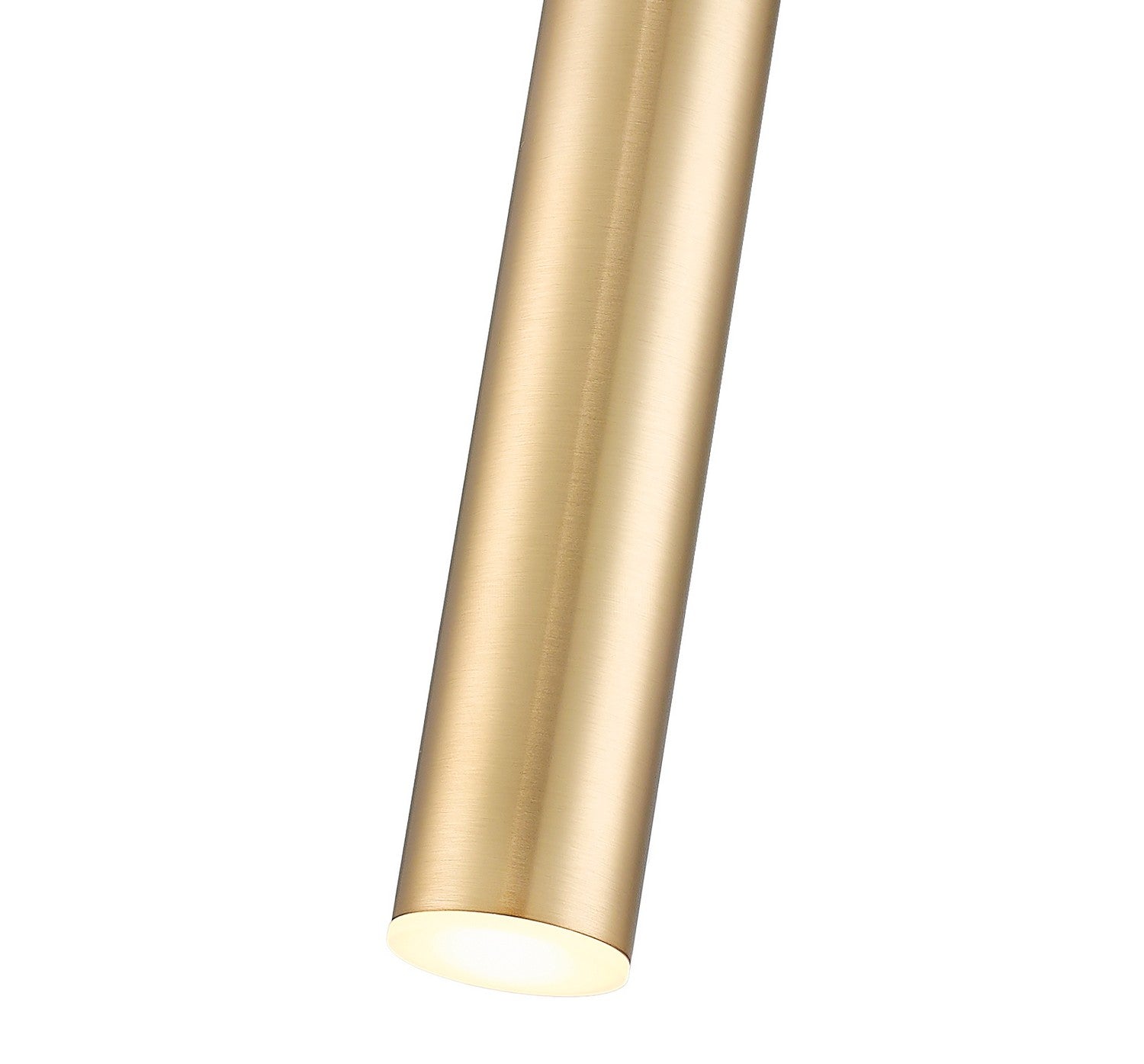 Z-Lite - 919MP24-MGLD-LED - LED Pendant - Forest - Modern Gold