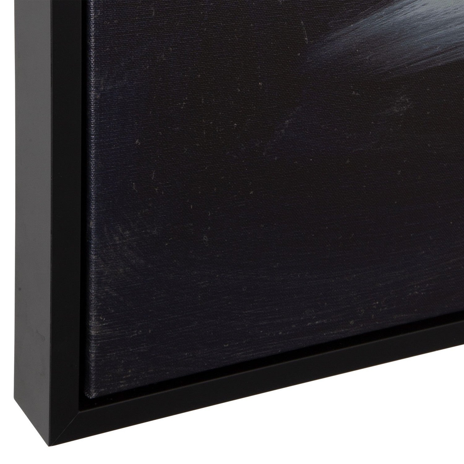 Uttermost - 32445 - Wall Art - Peony - Black