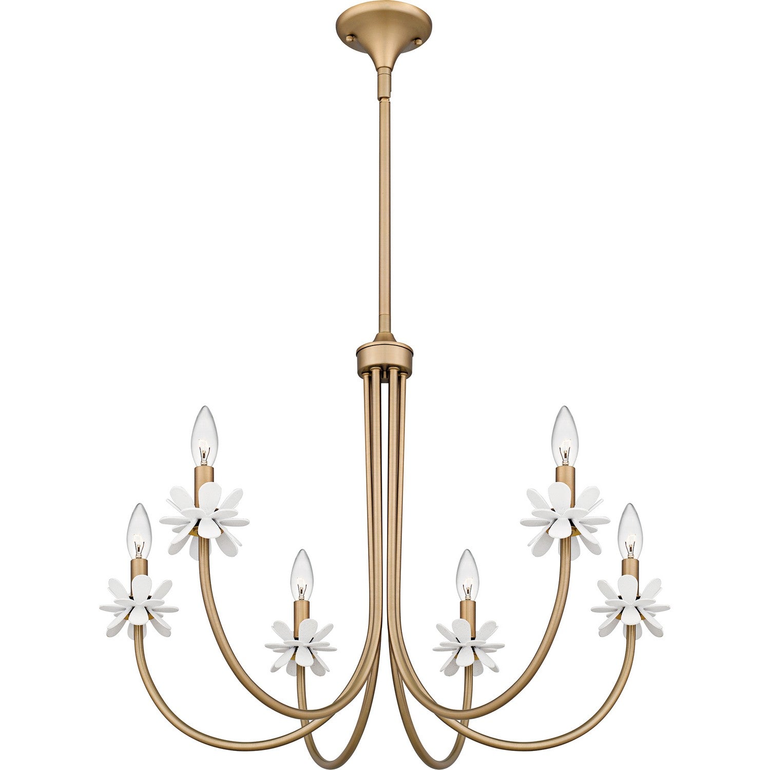 Quoizel - REY5030BGD - Six Light Chandelier - Remy - Bronze Gold