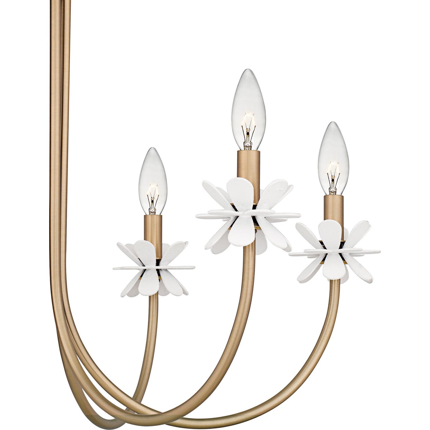 Quoizel - REY5030BGD - Six Light Chandelier - Remy - Bronze Gold