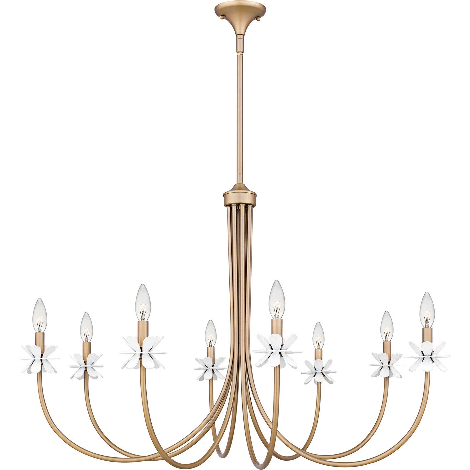 Quoizel - REY5042BGD - Eight Light Chandelier - Remy - Bronze Gold