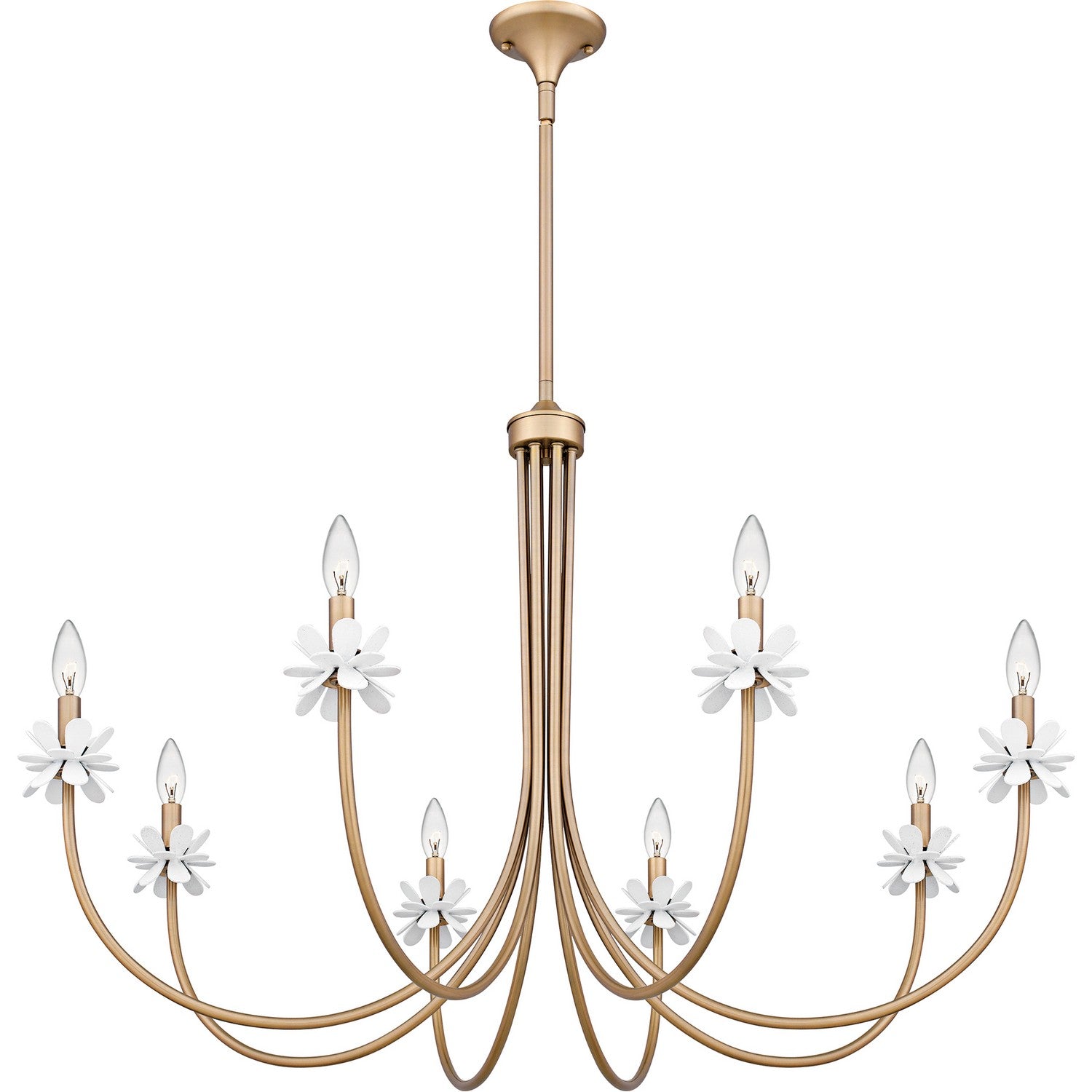 Quoizel - REY5042BGD - Eight Light Chandelier - Remy - Bronze Gold
