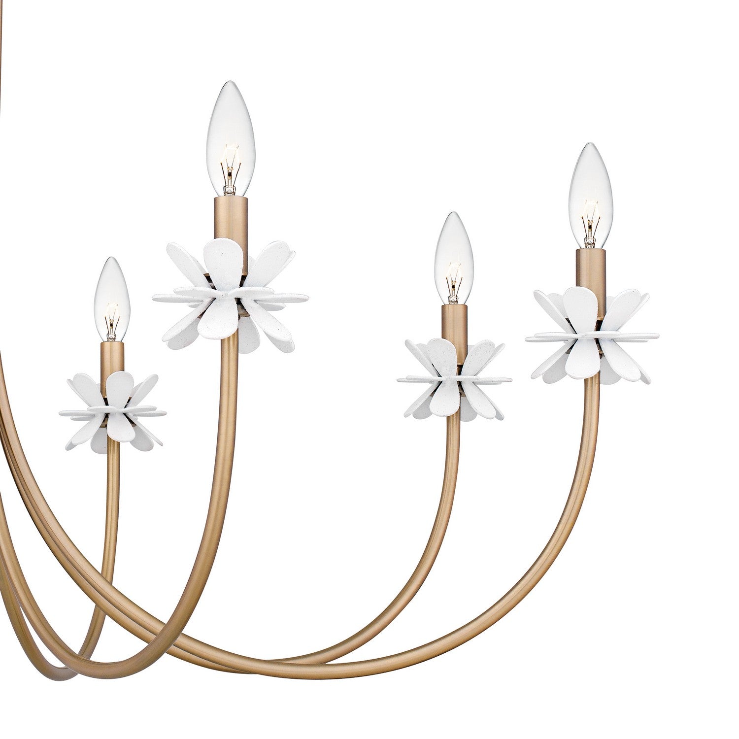 Quoizel - REY5042BGD - Eight Light Chandelier - Remy - Bronze Gold