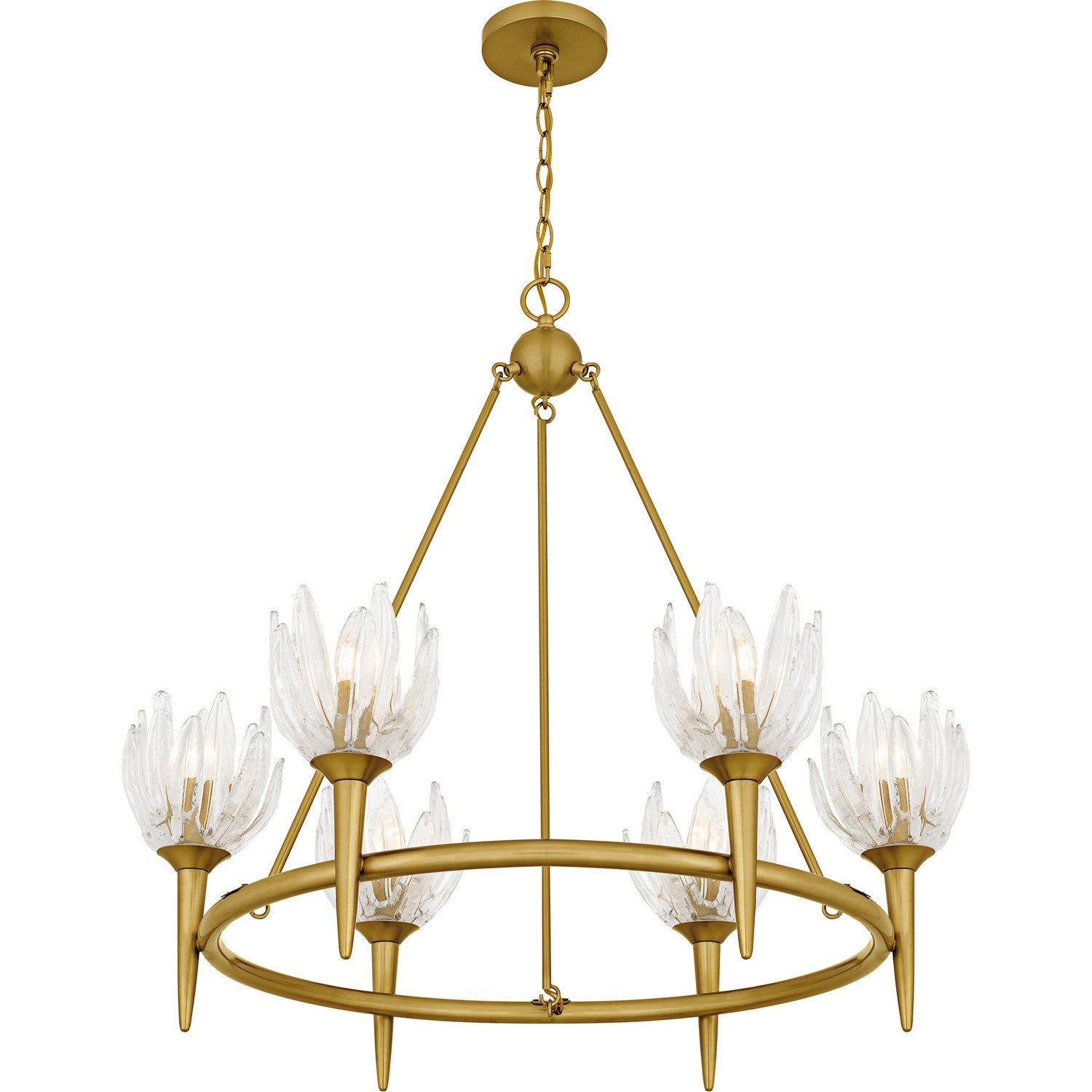 Quoizel - SHA5032BRG - Six Light Chandelier - Shea - Brushed Gold