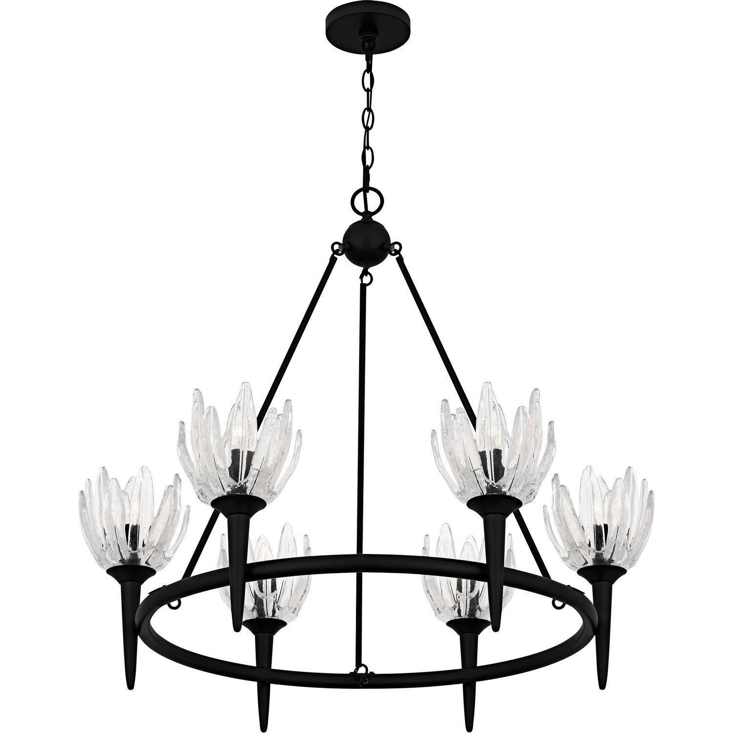 Quoizel - SHA5032MBK - Six Light Chandelier - Shea - Matte Black