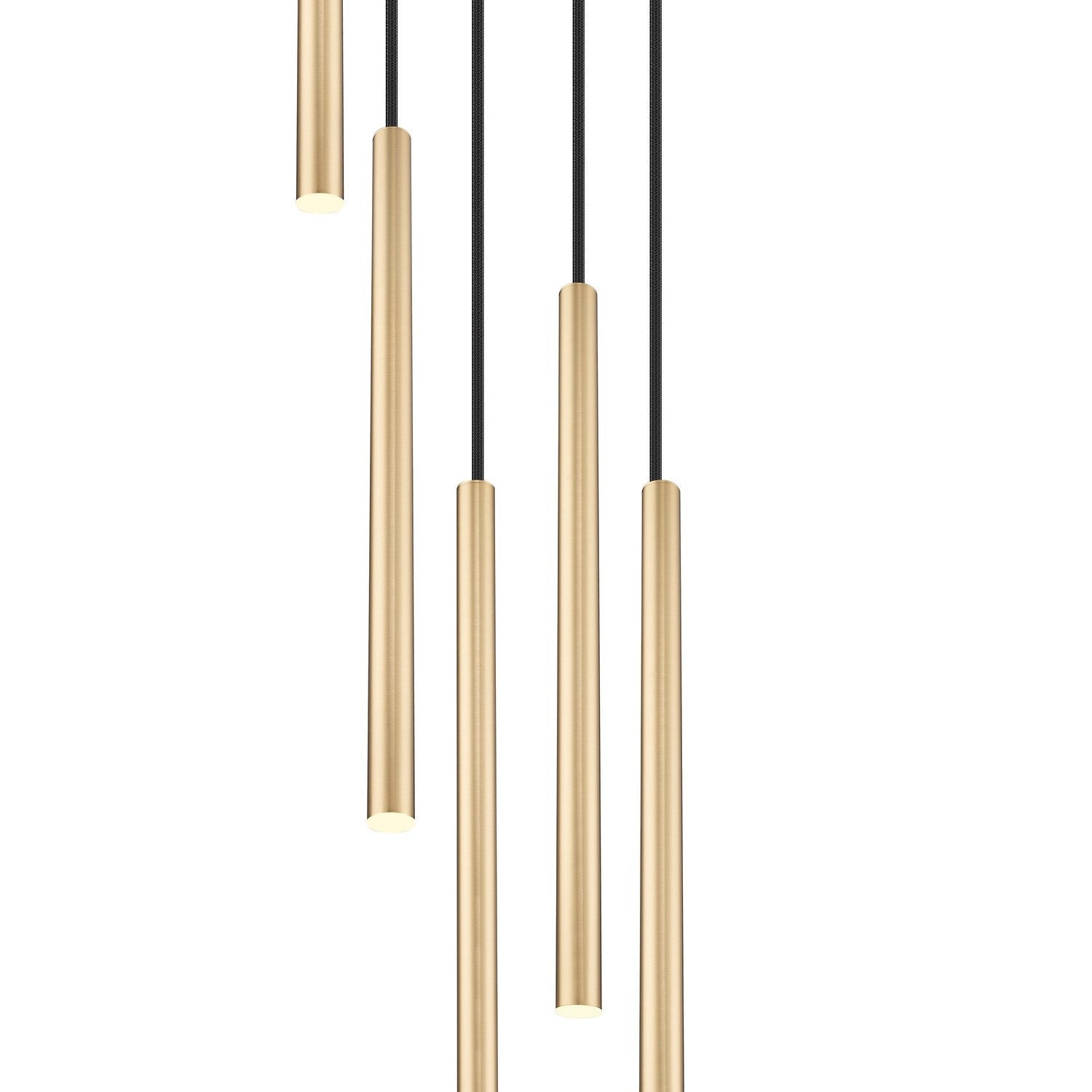 Z-Lite - 919MP24-5R-MGLD-LED - LED Chandelier - Forest - Modern Gold