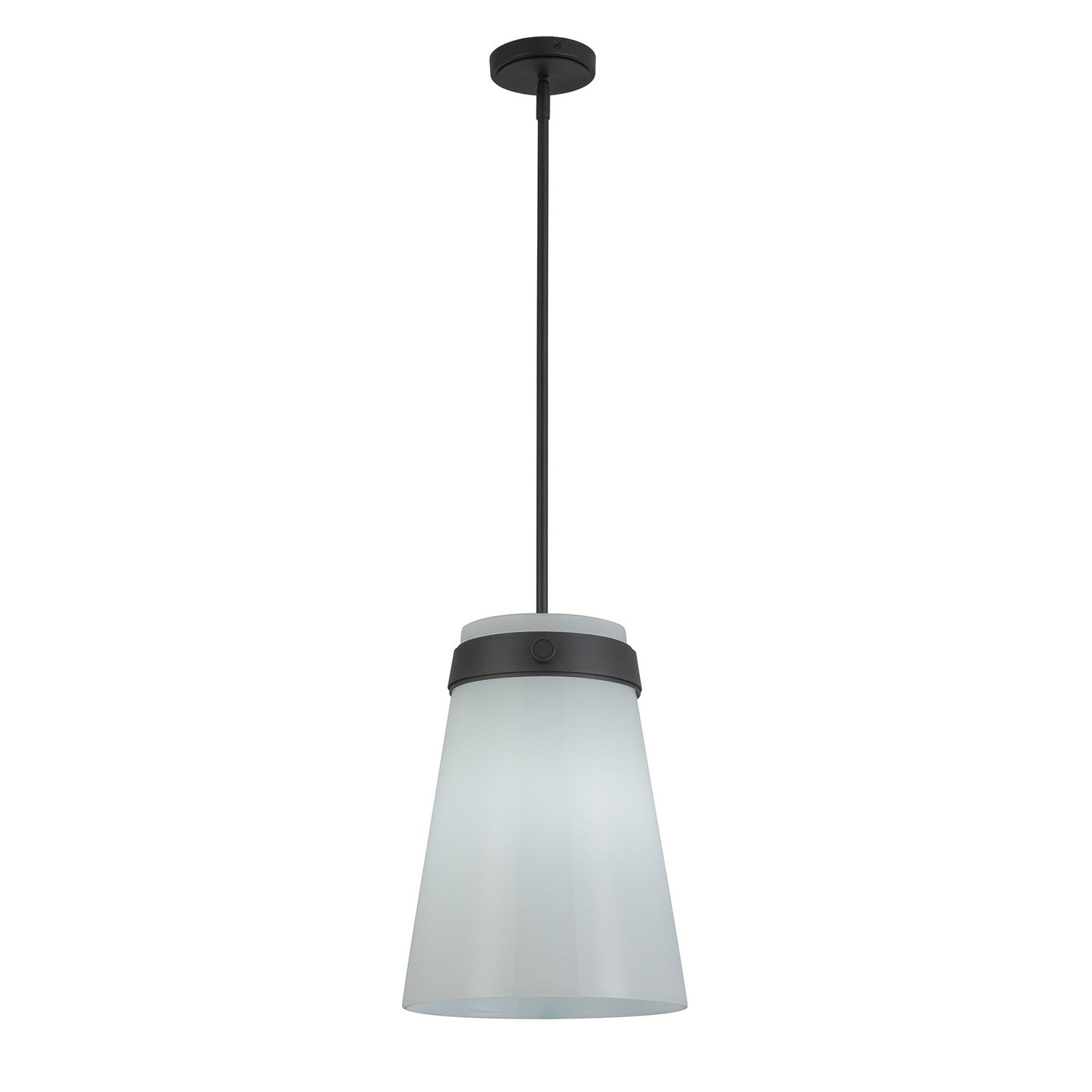 Artcraft - AC10640BK - One Light Pendant - Dahlia - Black