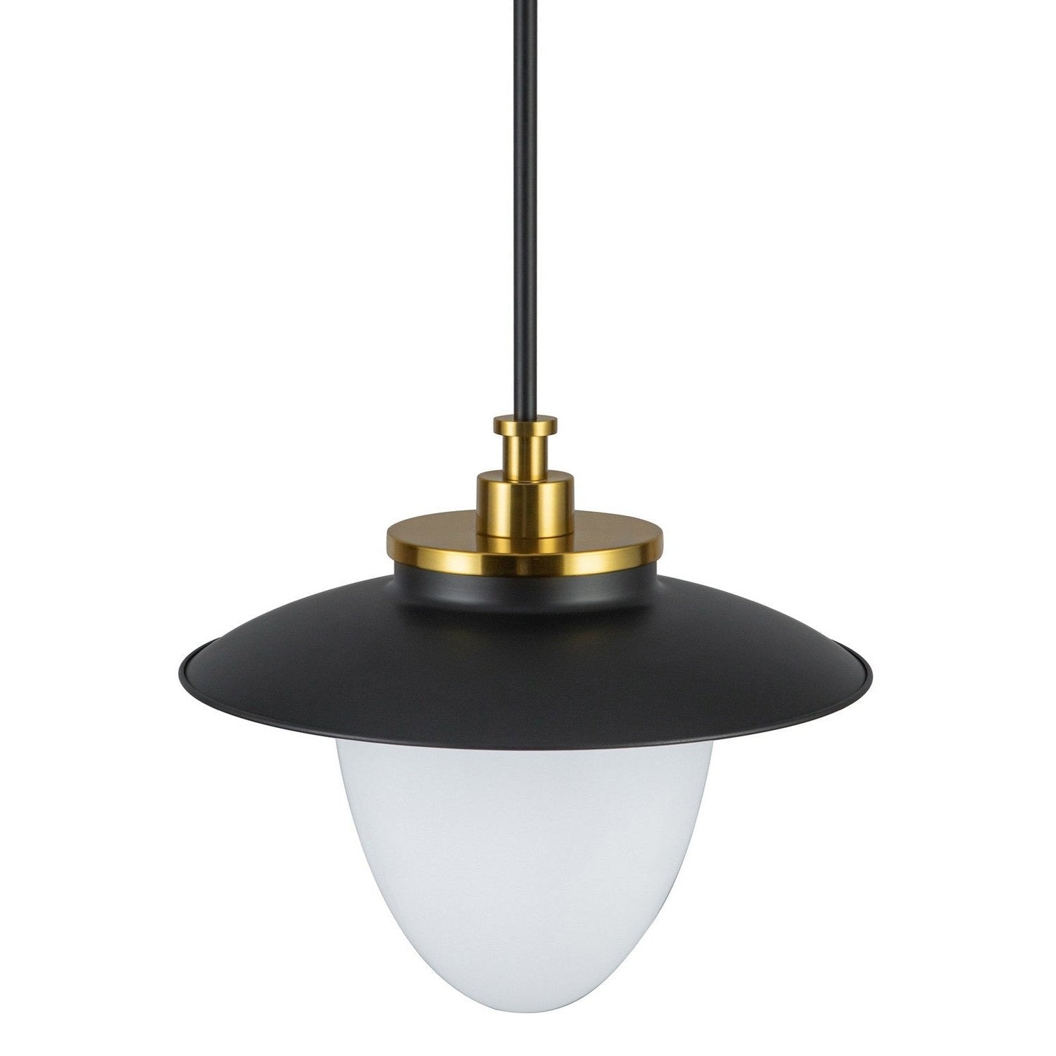 Artcraft - AC11905BB - One Light Pendant - Dahlia - Black