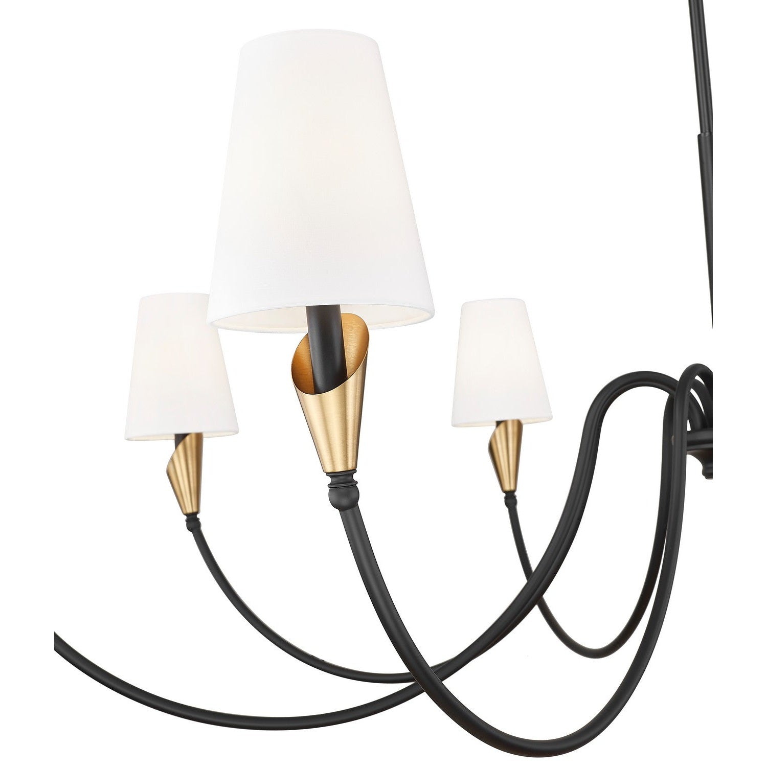 Z-Lite - 4014-65MB-MGLD - Eight Light Chandelier - Claudelle - Matte Black + Modern Gold
