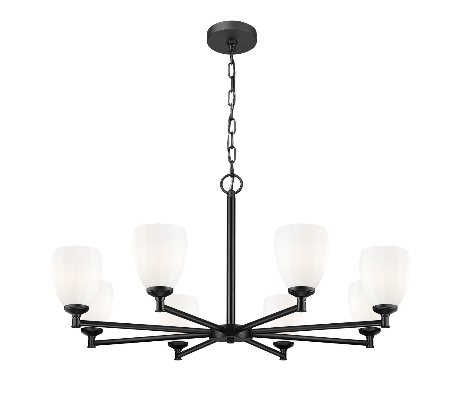 Z-Lite - 7004-8MB - Eight Light Chandelier - Oren - Matte Black