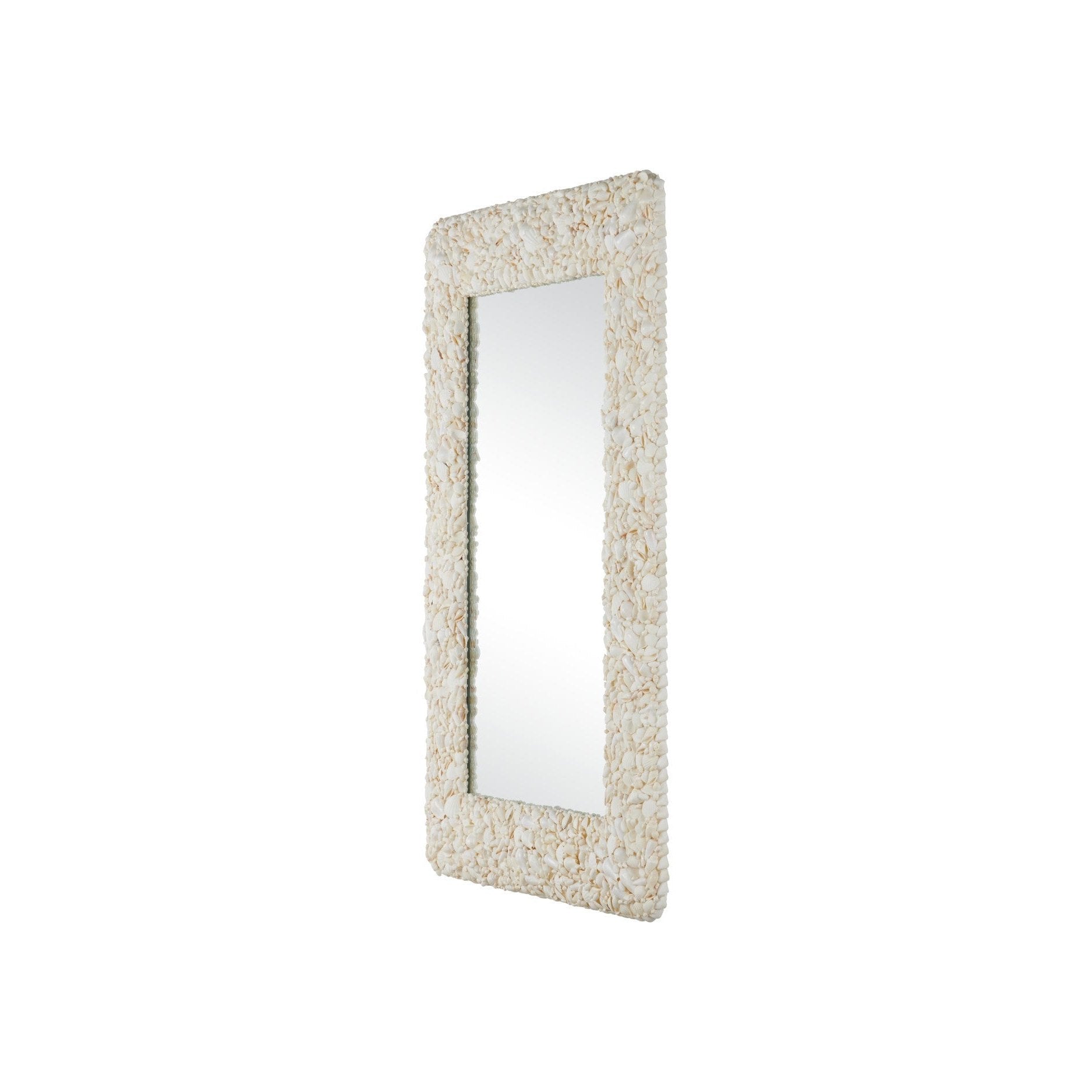Currey and Company - 1000-0168 - Mirror - Turbinella - Natural