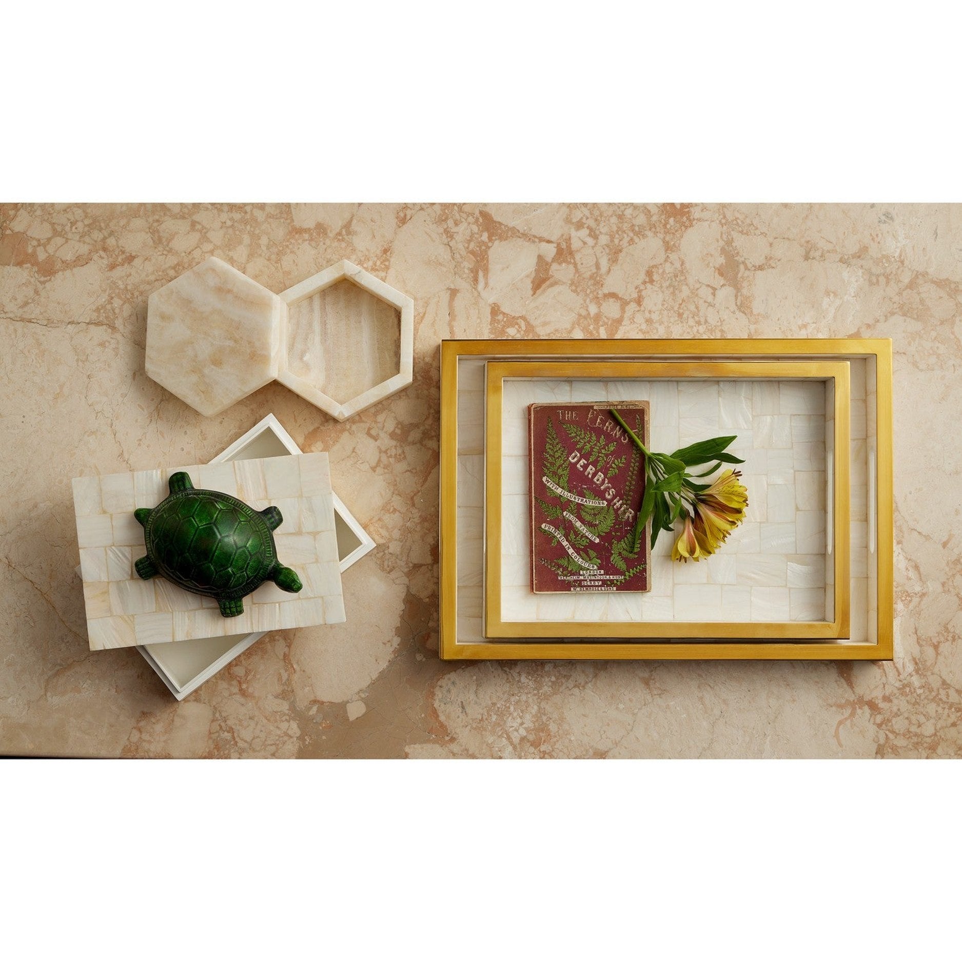 Currey and Company - 1200-1021 - Tray Set of 2 - Casey - Natural / Brass