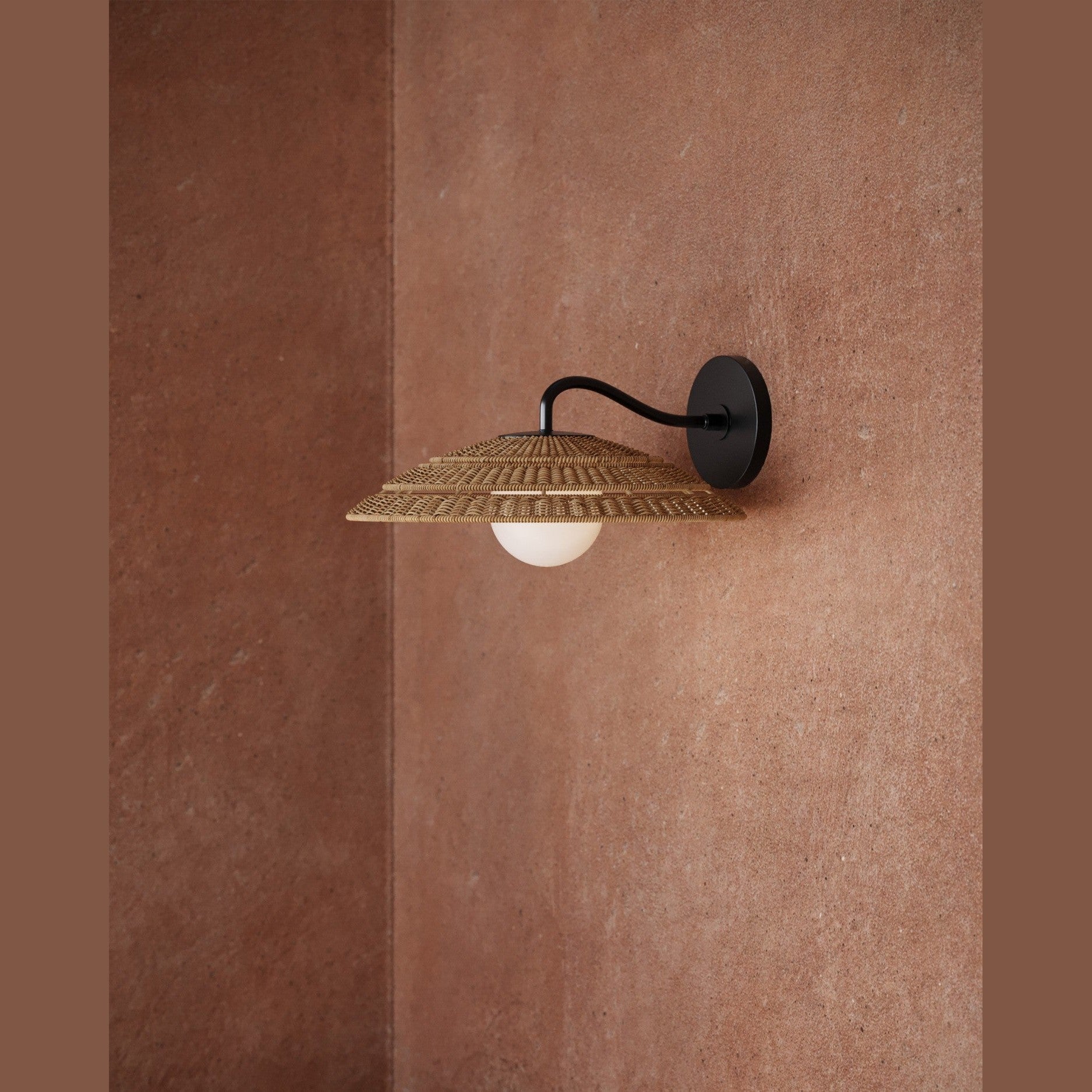 Currey and Company - 5500-0059 - One Light Wall Sconce - Barbary - Natural / Black / Frosted White