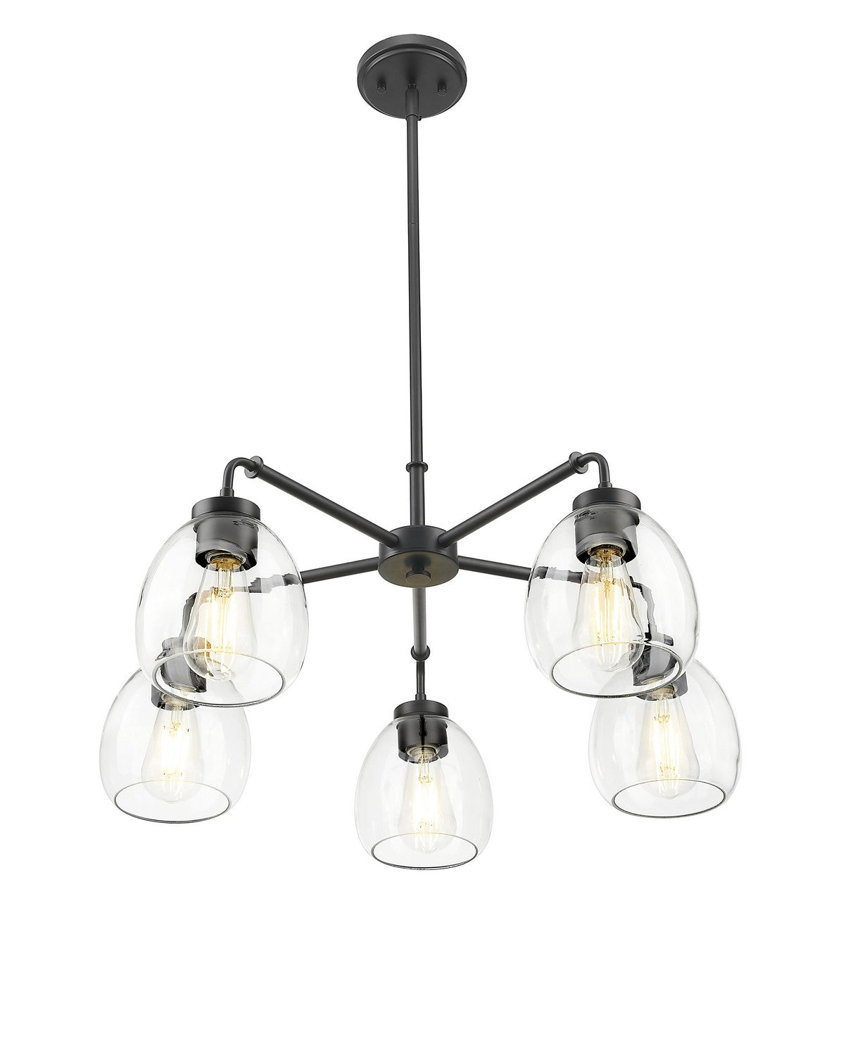 Acclaim Lighting - IN20063BK - Five Light Chandelier - Dawes - Matte Black