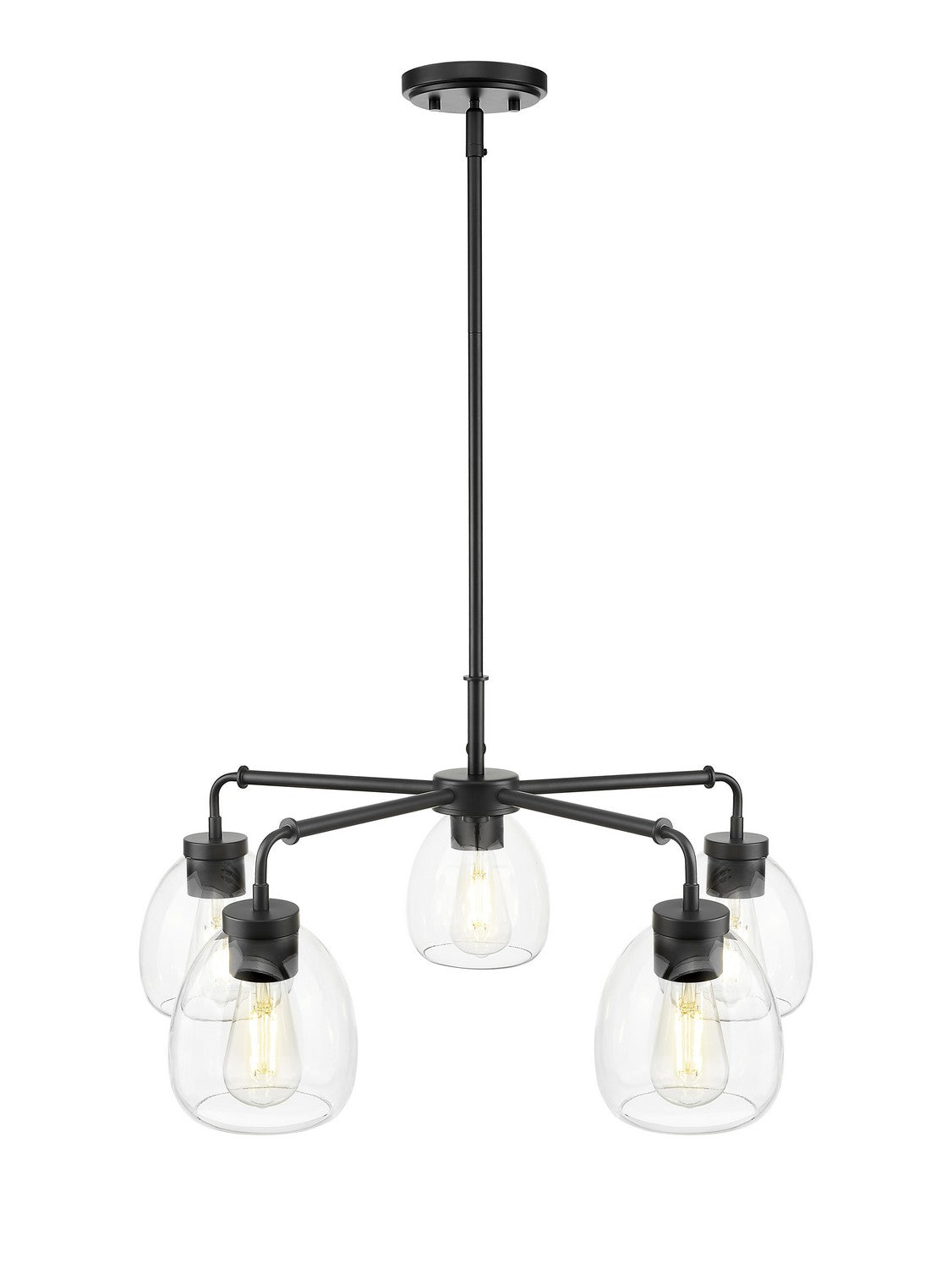 Acclaim Lighting - IN20063BK - Five Light Chandelier - Dawes - Matte Black