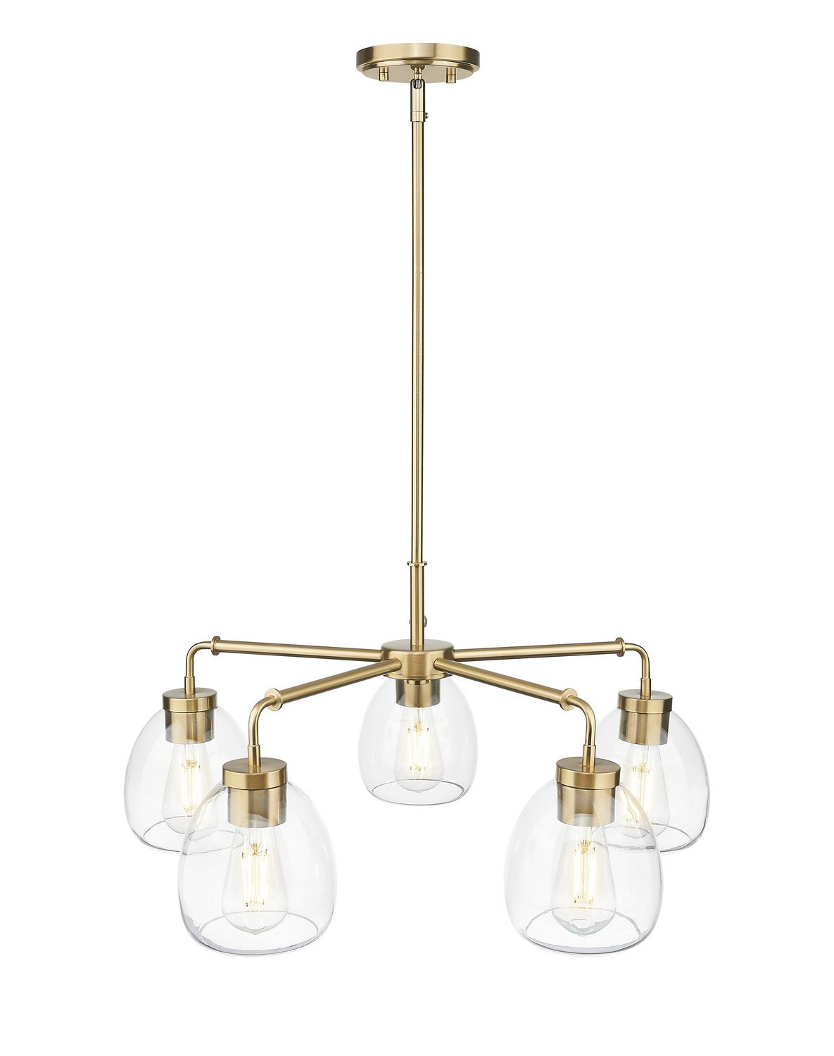 Acclaim Lighting - IN20063BR - Five Light Chandelier - Dawes - Brass