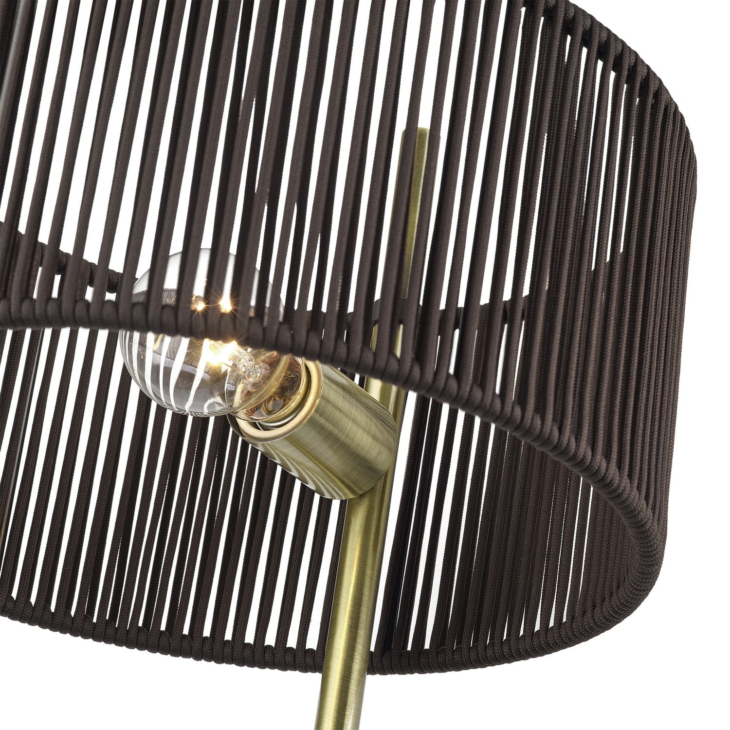 Livex Lighting - 49139-01 - One Light Swing Arm Wall Lamp - Acordia - Antique Brass
