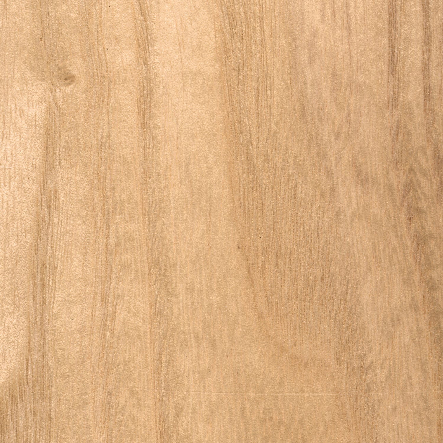 Matthews Fan Company - AK-MWH-LM-56 - 56" Ceiling Fan - Alessandra - Matte White