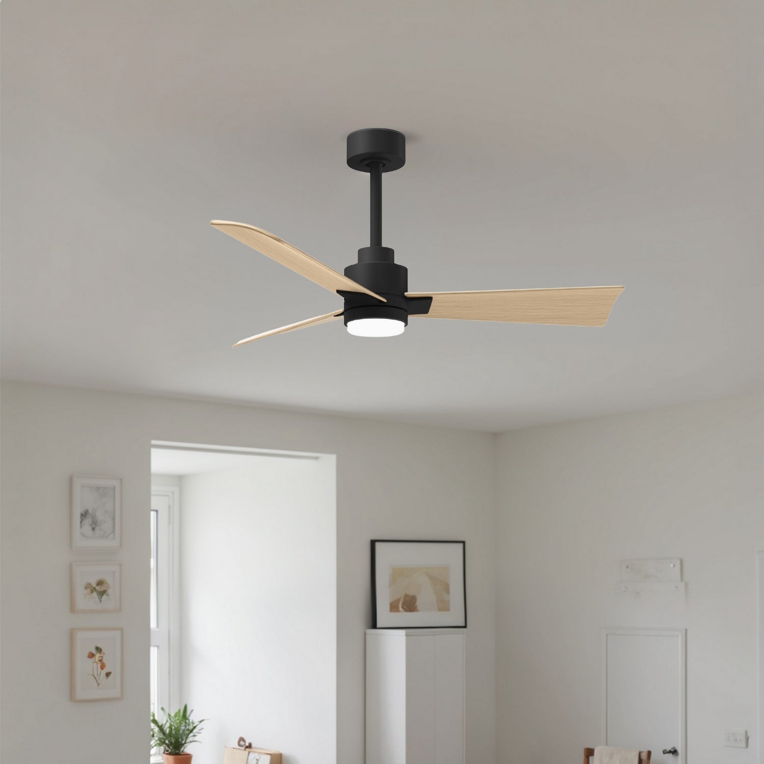 Matthews Fan Company - AKLK-BK-LM-42 - 42" Ceiling Fan - Alessandra - LK - Matte Black