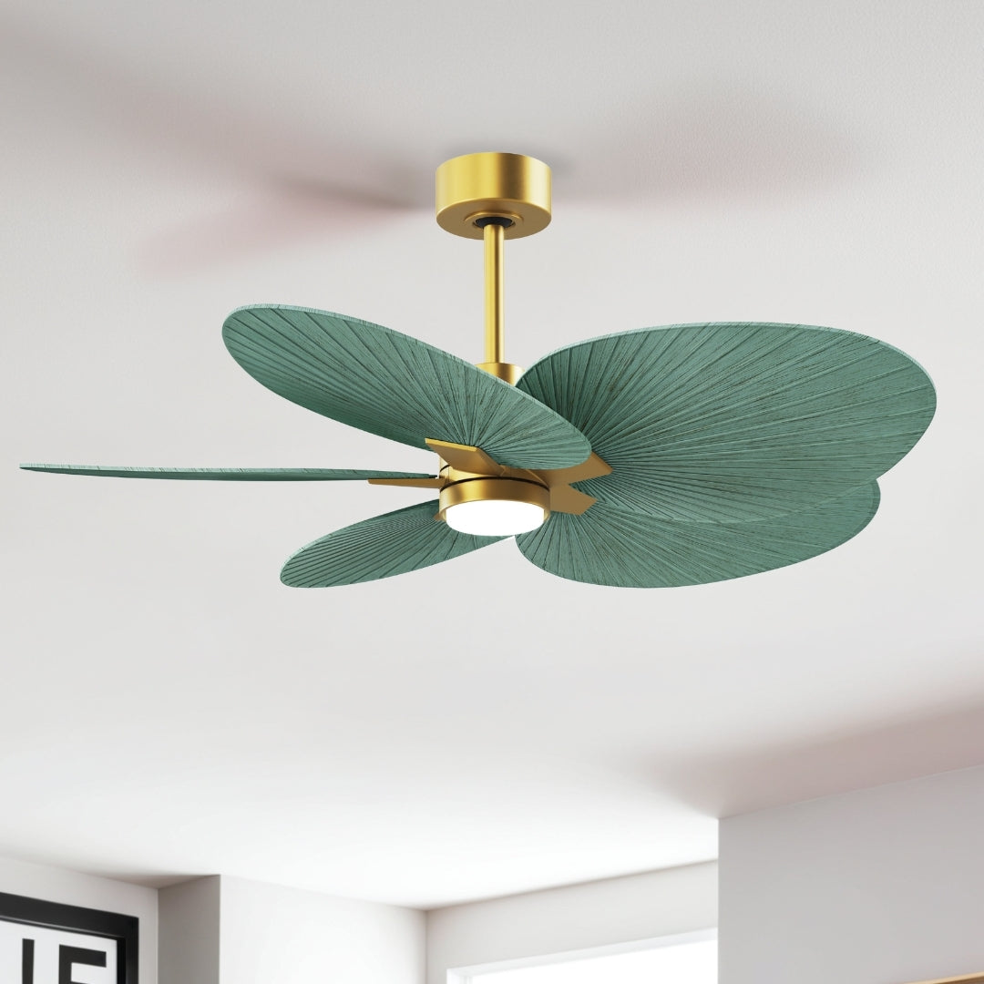 Matthews Fan Company - AKTPLK-BRBR-PL - Five Blade Ceiling Fan - Alessandra Tropical - LK - Brushed Brass