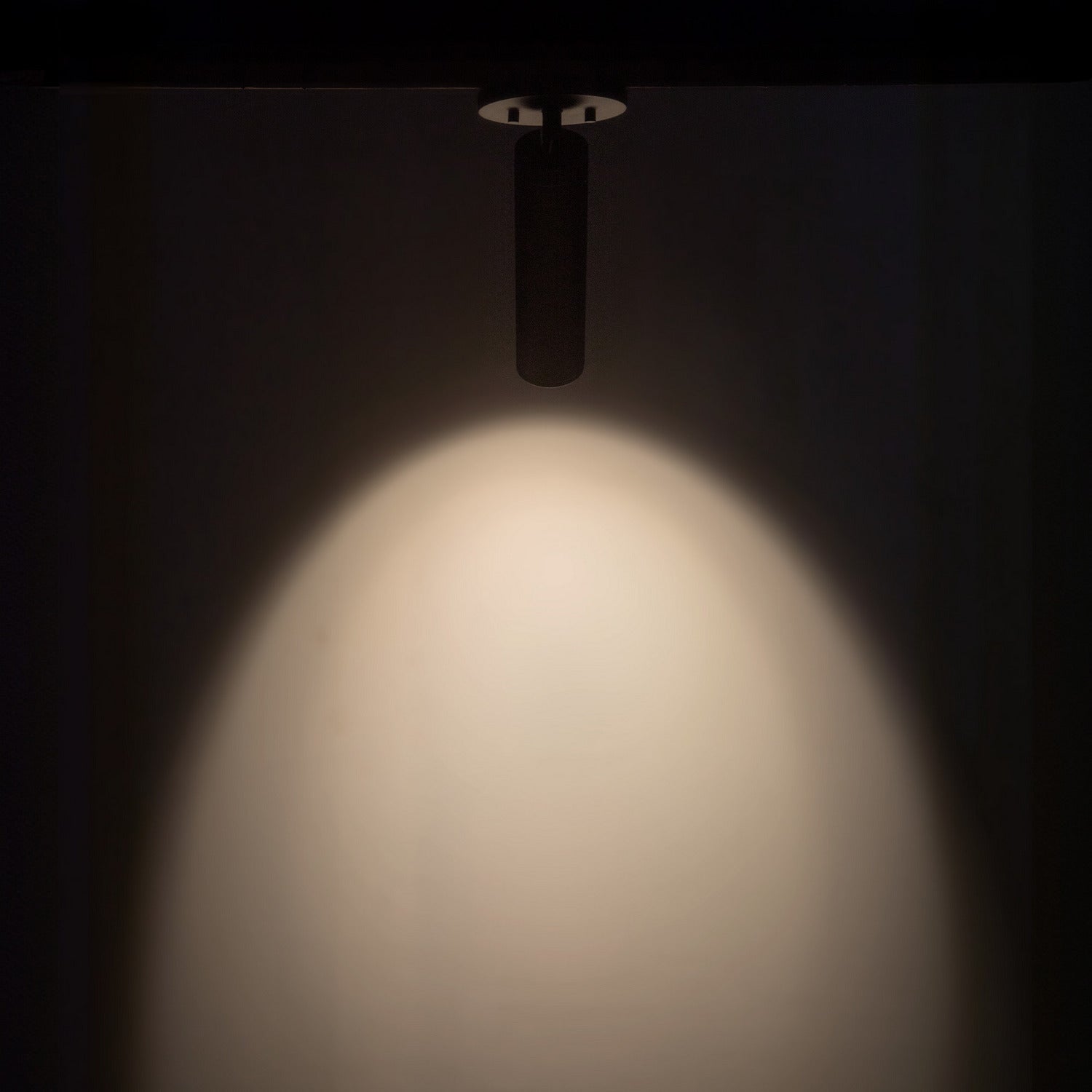 Kuzco Lighting - LD2-SA08W10-3036-BK-UNV-010 - LED Ceiling Mount - Lorna - Black